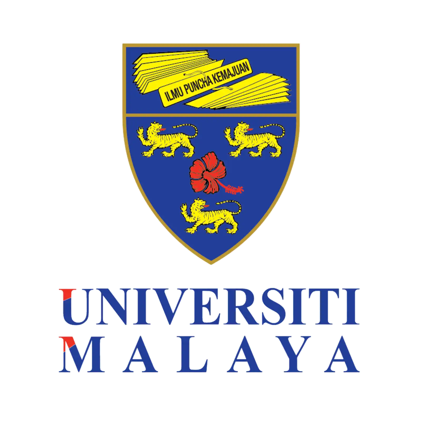 ICON IMAD XV